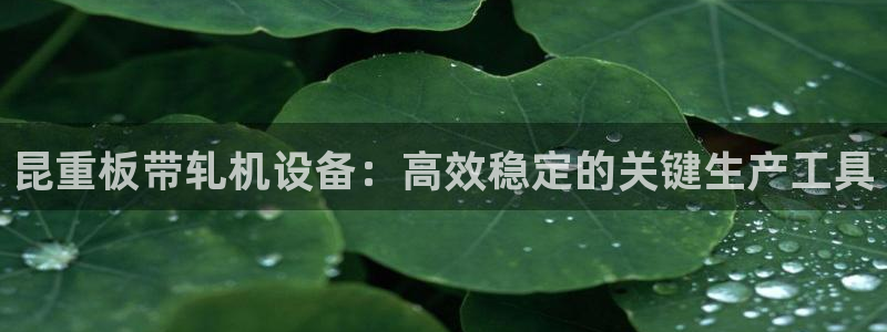 辉达娱乐app