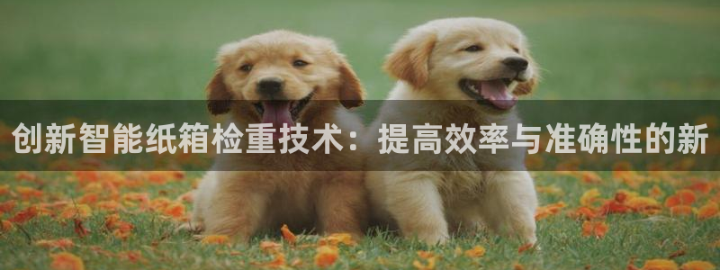 辉达娱乐平台