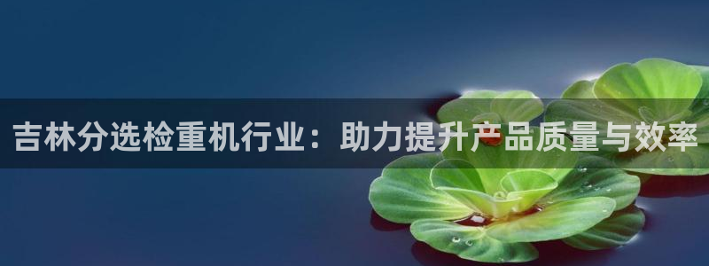 辉达娱乐