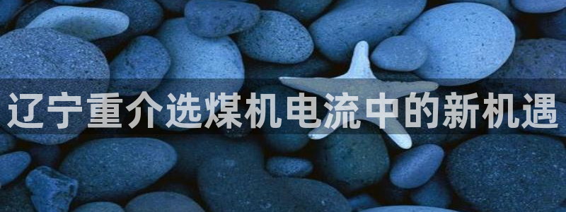 辉达平台注册：辽宁重介选煤机电流中的新机遇