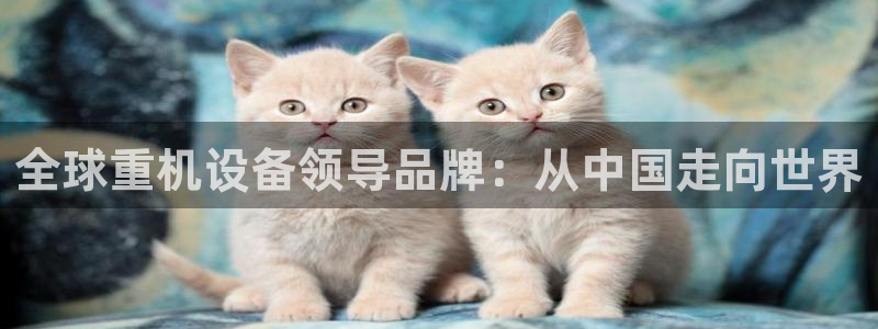 辉达娱乐计划软件：全球重机设备领导品牌：从中国走向世界