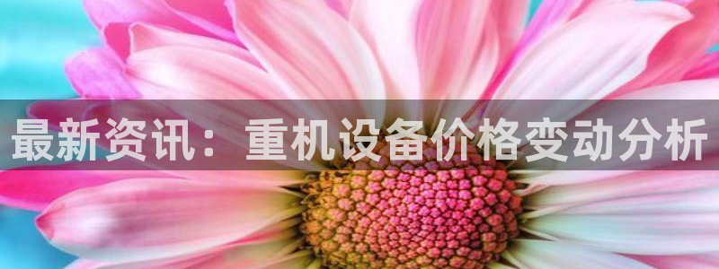辉达娱乐招商：最新资讯：重机设备价格变动分析