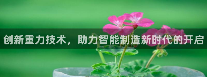 辉达娱乐app