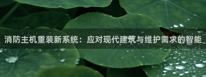 辉达娱乐正规吗