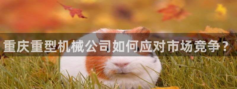 辉达娱乐待遇：重庆重型机械公司如何应对市场竞争？
