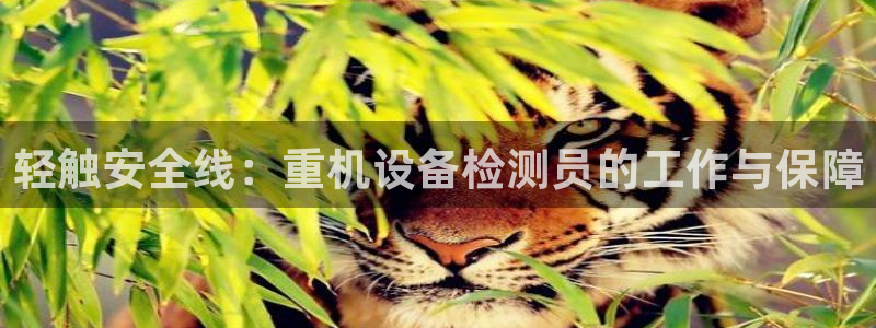辉达娱乐电子：轻触安全线：重机设备检测员的工作与保障
