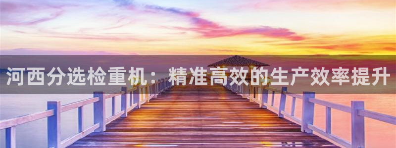 信誉辉达娱乐平台：河西分选检重机：精准高效的生产效率提升