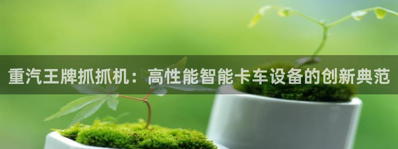 辉达娱乐可靠：重汽王牌抓抓机：高性能智能卡车设备的创新典范