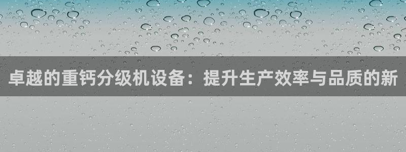 辉达娱乐新疆时时彩：卓越的重钙分级机设备：提升生产效率与品质