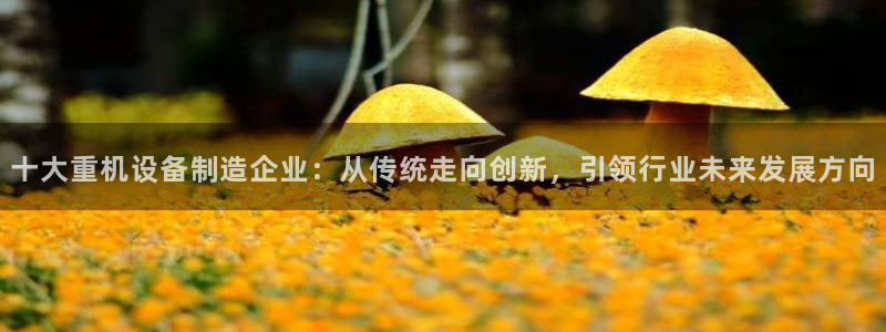 辉达平台官网网站：十大重机设备制造企业：从传统走向创新，引领