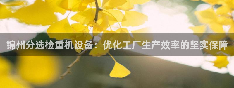 辉达娱乐重庆时时彩注册