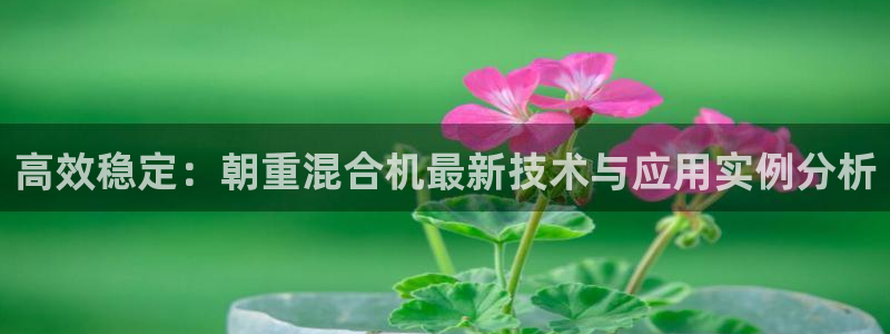 信誉辉达娱乐