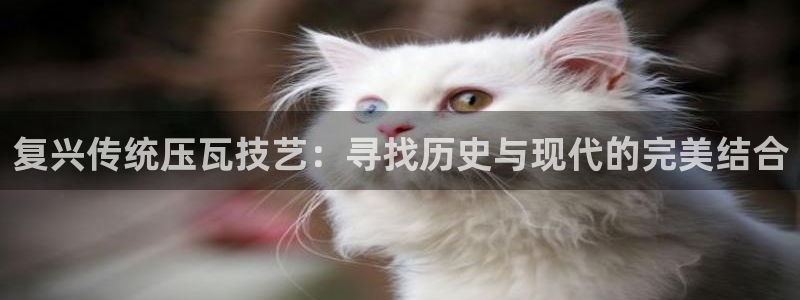 辉达娱乐丿39444：复兴传统压瓦技艺：寻找历史与现代的完美