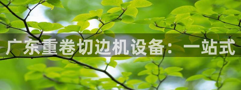 专业辉达娱乐在线游戏：广东重卷切边机设备：一站式