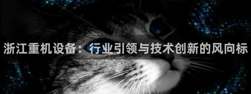 辉达怎么样：浙江重机设备：行业引领与技术创新的风向标