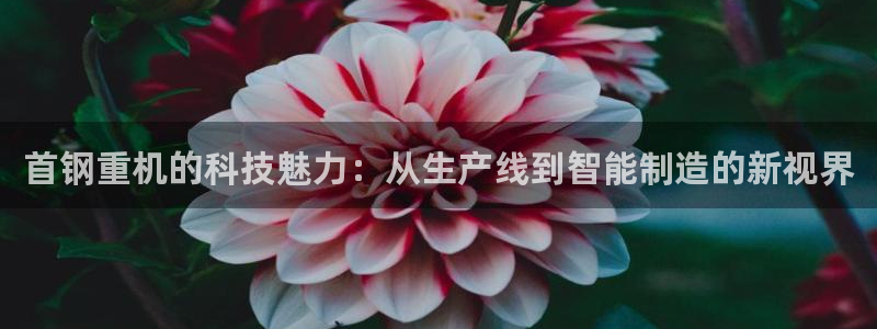 辉达娱乐开户注册：首钢重机的科技魅力：从生产线到智能制造的新