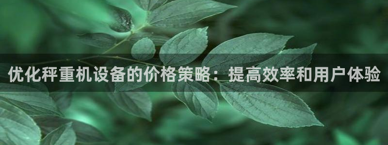 龙腾辉达电子娱乐：优化秤重机设备的价格策略：提高效率和用户体