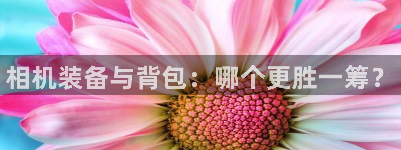 辉达娱乐珈75775：相机装备与背包：哪个更胜一筹？