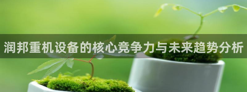 辉达娱乐开户注册：润邦重机设备的核心竞争力与未来趋势分析
