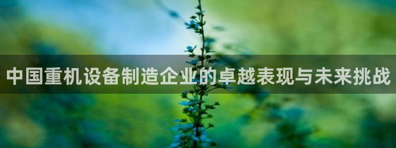 辉达集团官方网站