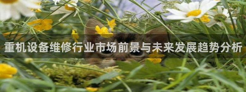 辉达平台官网首页