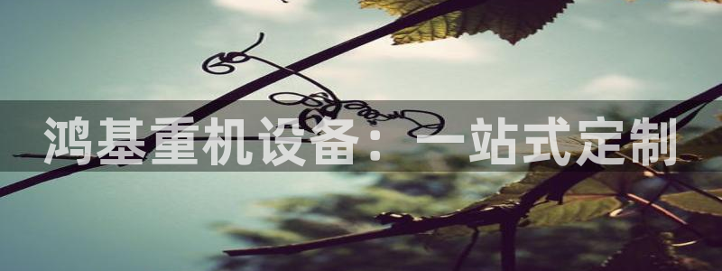 辉达娱乐公司：鸿基重机设备：一站式定制