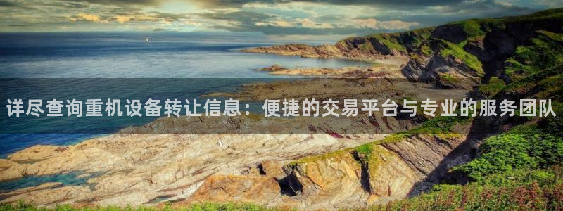 辉达娱乐登录：详尽查询重机设备转让信息：便捷的交易平台与专业