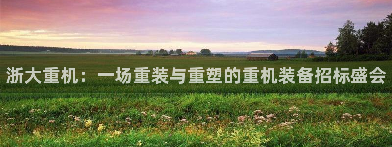 辉达平台注册流程：浙大重机：一场重装与重塑的重机装备招标盛会