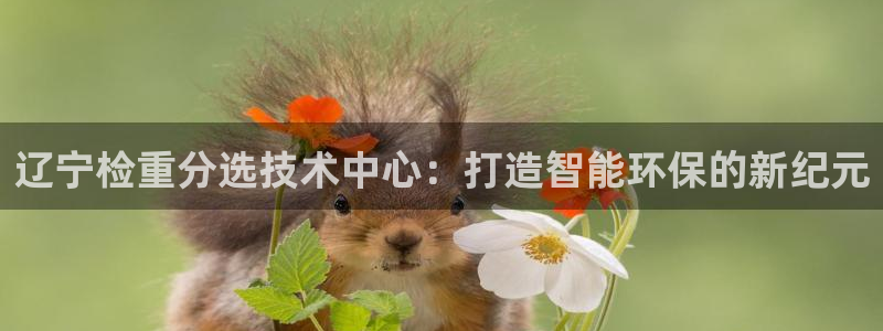 辉达娱乐己39444：辽宁检重分选技术中心：打造智能环保的新