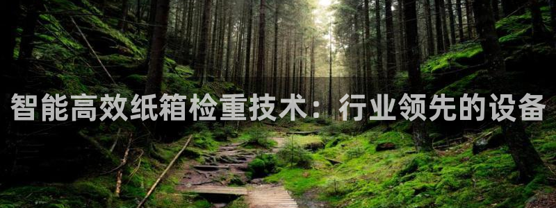 辉达平台注册入口：智能高效纸箱检重技术：行业领先的设备
