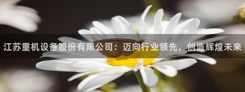 龙腾辉达电子娱乐