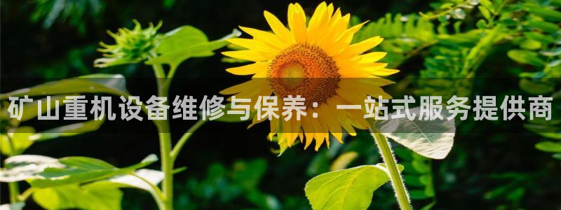 辉达娱乐电子游艺：矿山重机设备维修与保养：一站式服务提供商