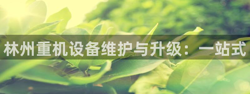 专业辉达娱乐官方网址：林州重机设备维护与升级：一站式