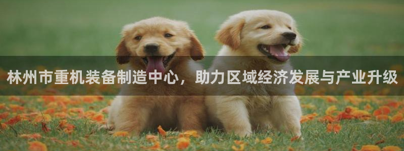 辉达娱乐平台：林州市重机装备制造中心，助力区域经济发展与产业