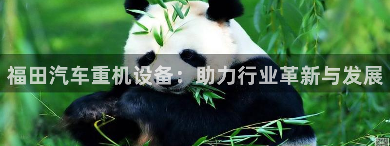 辉达娱乐最新消息新闻