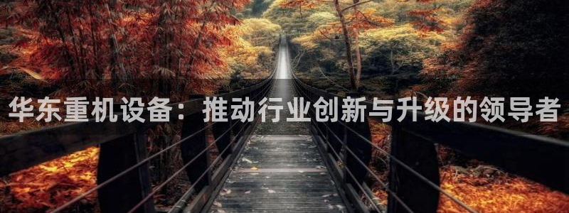 辉达娱乐重庆时时彩注册：华东重机设备：推动行业创新与升级的领