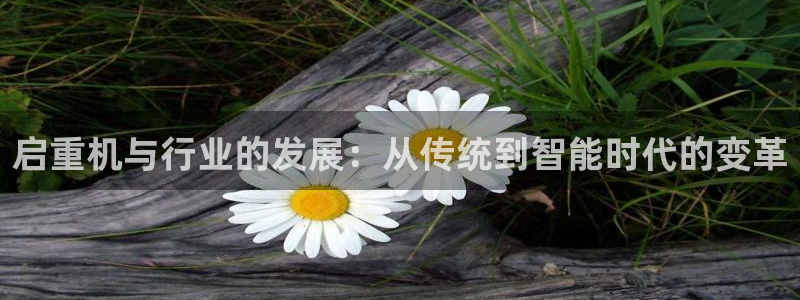 辉达娱乐丶39444：启重机与行业的发展：从传统到智能时代的