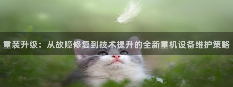 辉达平台注册流程：重装升级：从故障修复到技术提升的全新重机设