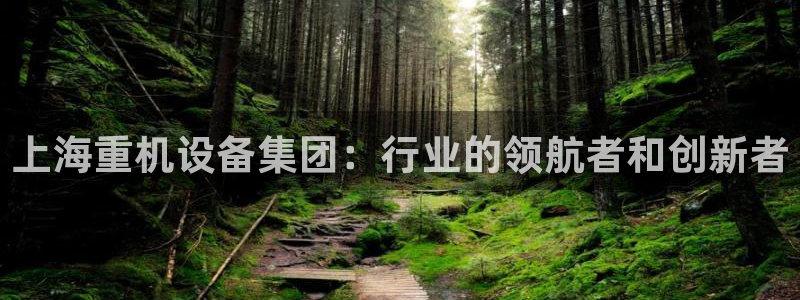 辉达娱乐丶39444：上海重机设备集团：行业的领航者和创新者
