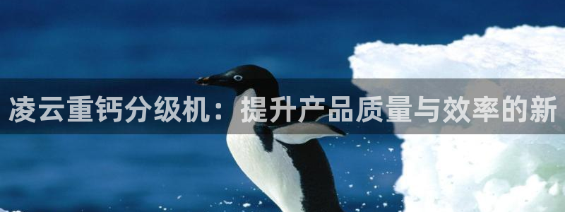辉达娱乐网址：凌云重钙分级机：提升产品质量与效率的新