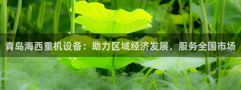 辉达平台注册官方网站入口：青岛海西重机设备：助力区域经济发展