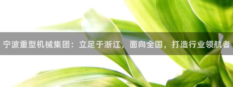 辉达娱乐丶39444