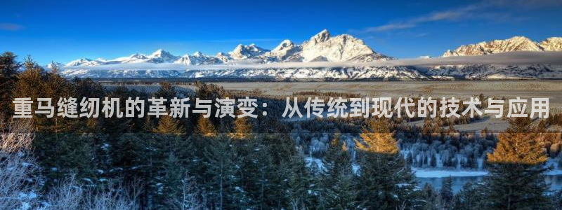 辉达娱乐己39444：重马缝纫机的革新与演变：从传统到现代的