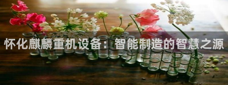 辉达娱乐公司