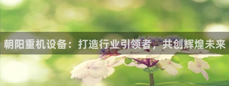 辉达娱乐正规吗
