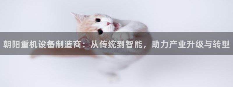 辉达娱乐加扣75775：朝阳重机设备制造商：从传统到智能，助