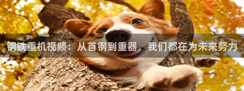 辉达娱乐时时彩平台：钢铁重机视频：从首钢到重器，我们都在为未