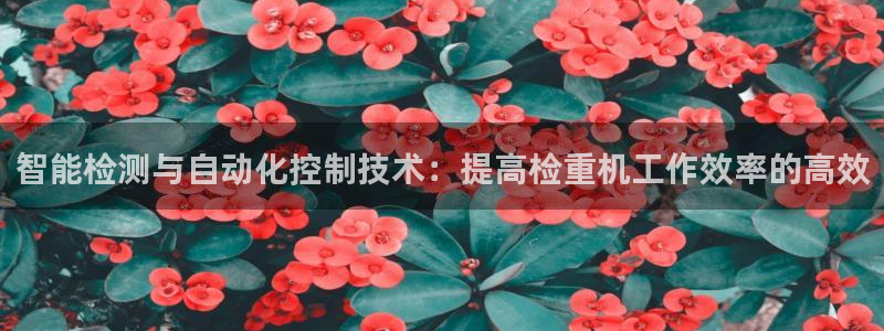 辉达娱乐检测