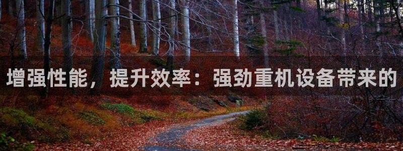 辉达平台注册官方网站入口：增强性能，提升效率：强劲重机设备带