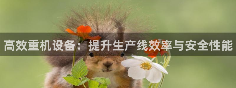 辉达娱乐总部